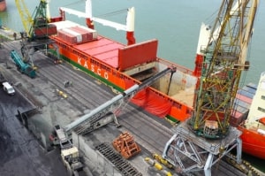 Ученые «ТИНРО» установили, что вода в бухте Находка в удовлетворительном состоянии